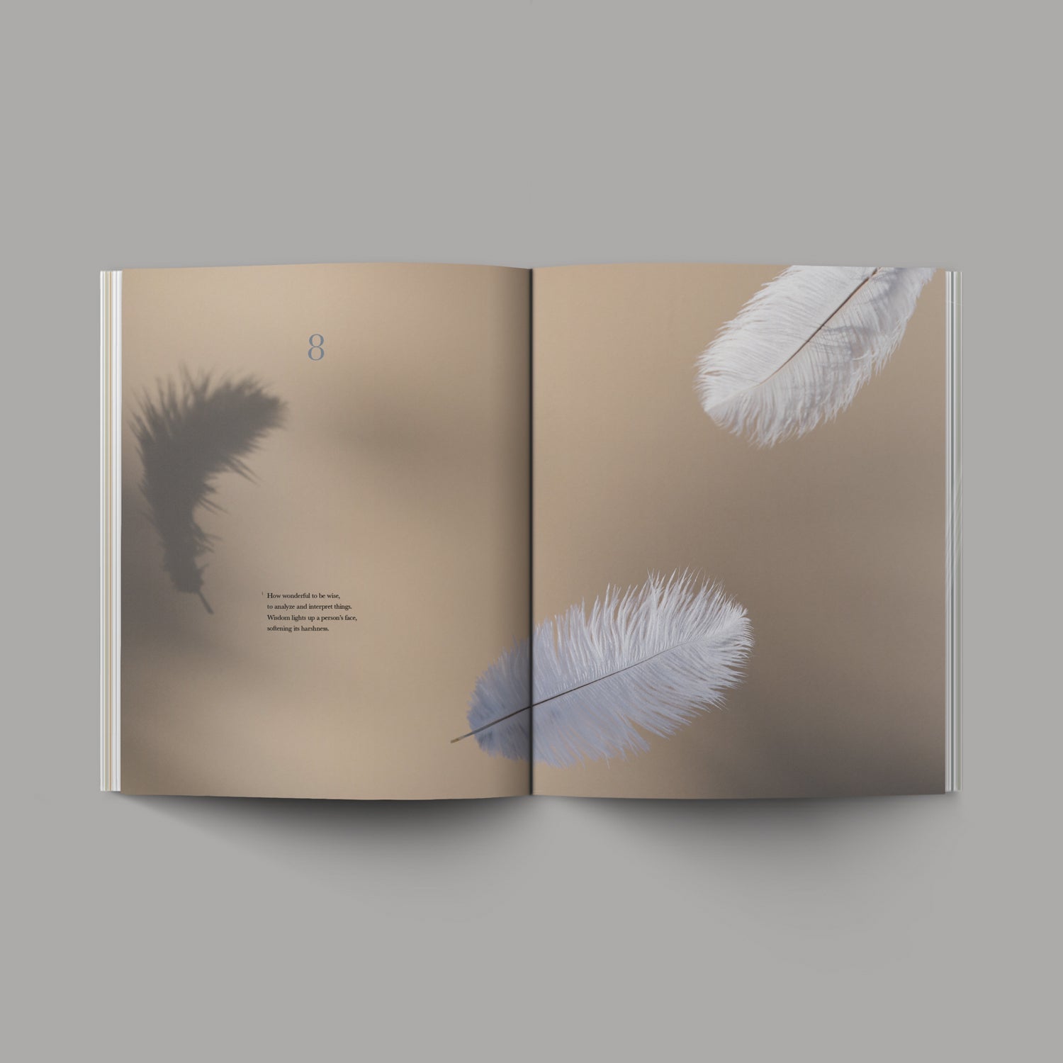 Book of Ecclesiastes Feathers